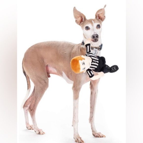 - Pull apart referee plush toy -pets - Picture 4 of 4